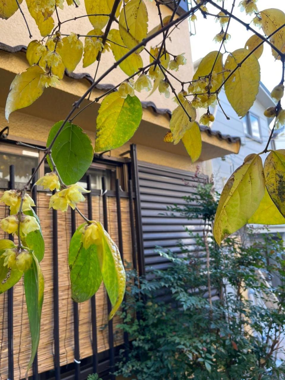Annam Stay Osaka - Whole Three Story House Rental Exteriör bild